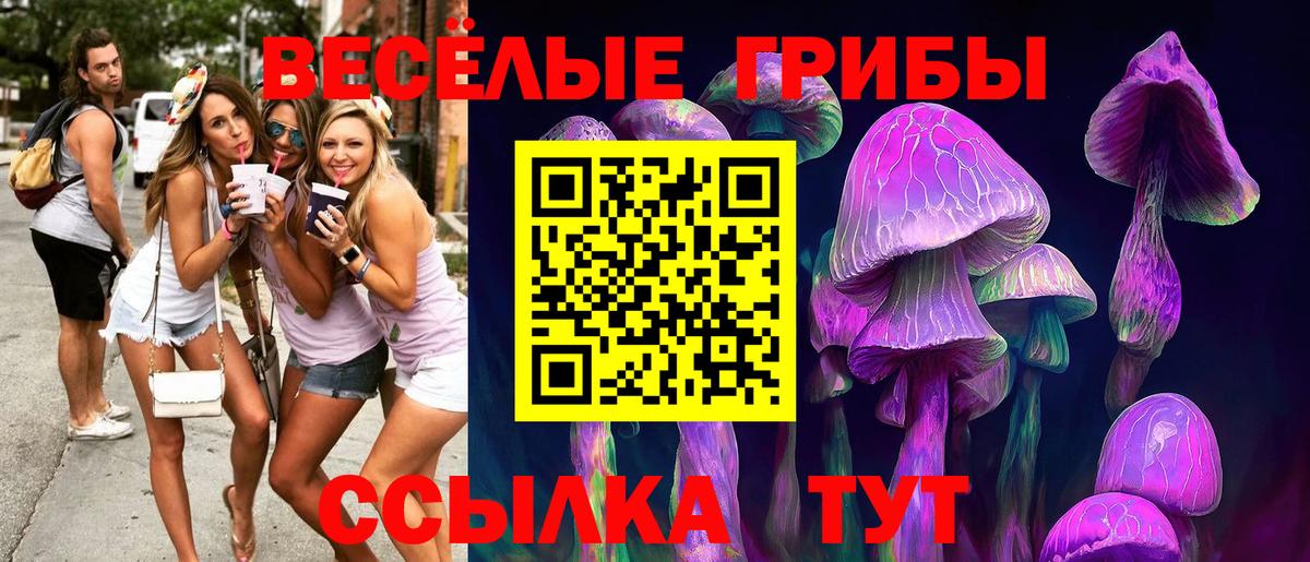 Галлюциногенные грибы Psilocybine cubensis Дятьково